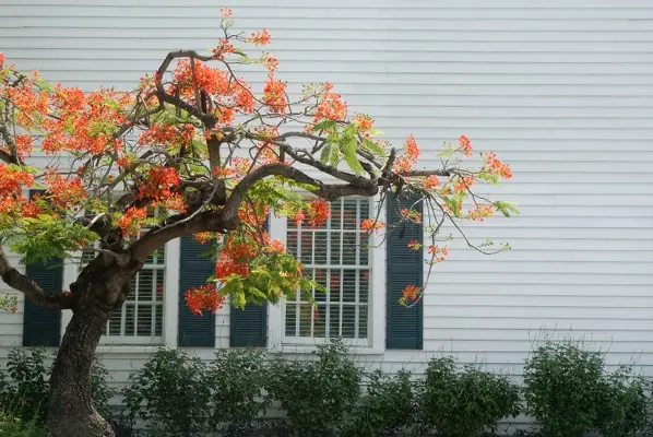 Common Mistakes To Avoid In Siding Installation Projects in Richmond Hill, NY